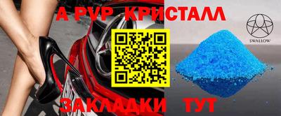 spice Тара
